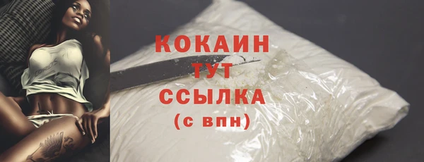 2c-b Инсар