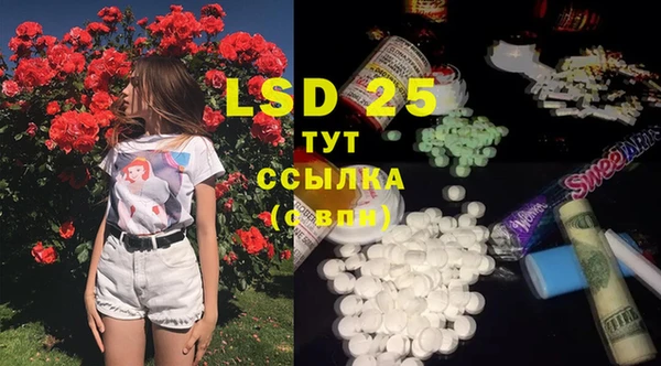 2c-b Инсар