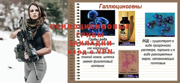 тгк Иннополис