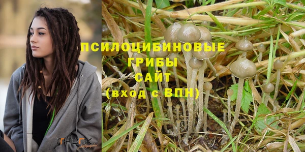 тгк Иннополис