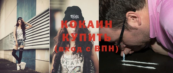 мяу мяу мука Дмитров