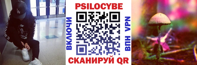 Псилоцибиновые грибы Cubensis  Новый Уренгой 