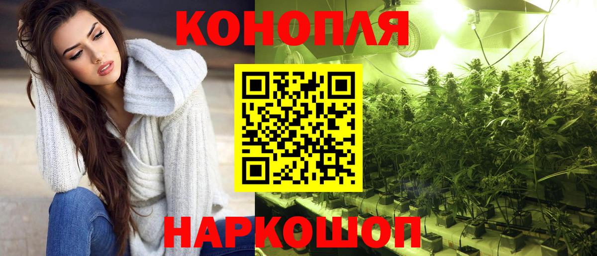 Бошки Шишки SATIVA & INDICA  Бошки марихуана AK-47  Новый Уренгой  Вход с VPN 